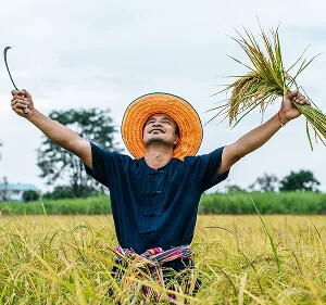Agri-Tech and Innovation  Updates - 星空娱乐平台