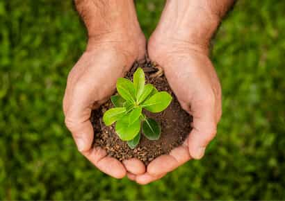 Organic Farming Solutions - 星空娱乐平台