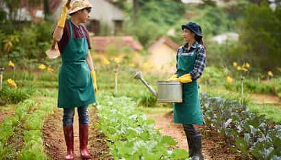 Revolutionizing the Way Food is Grown - 星空娱乐平台